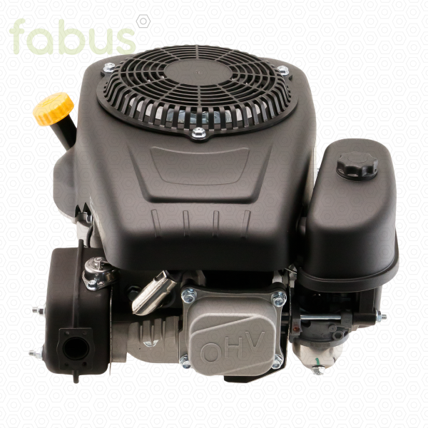 ENGINE ASSEMBLY 224CC TRE224 - SPECIAL PARTS 