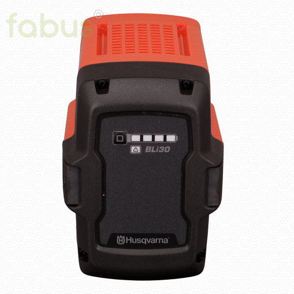 AKKU BLI30 36V 7,7AH 