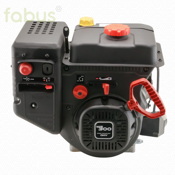 ENGINE ASSEMBLY 302 CC - WS300 - SPECIAL PARTS 