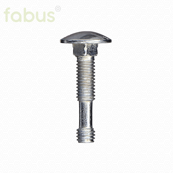 FLACHRUNDSCHRAUBE DIN603-M6X30 