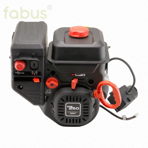 ENGINE ASSEMBLY 252 CC - WS250 - SPECIAL PARTS 