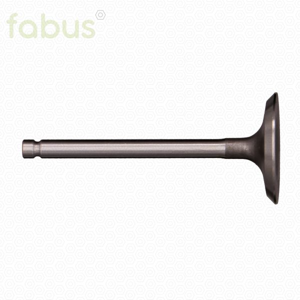 EINLAßVENTIL EH34,36,41,65,72 ALT 