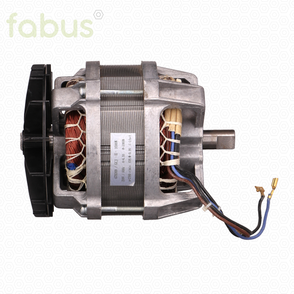 E-MOTOR 1000W FO EVOLUTION 