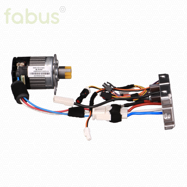 ELEKTROMOTOR MIT ELEKTRONIKMODUL 